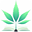 LeafyNY Logo